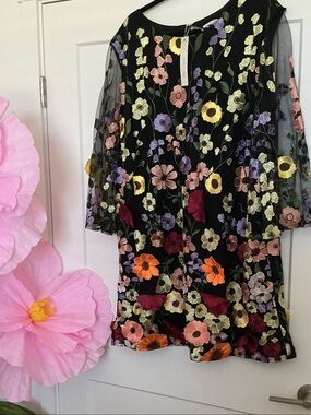 Black Floral Appliqué Embroidered Dress or Top. NWT Plus Size 4X